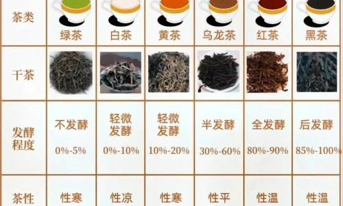 狗狗脸上起了一个痘-狗狗脸上长疙瘩出血网 - 狗狗脸上有疙瘩是怎么回事,狗狗脸上起了一个痘
