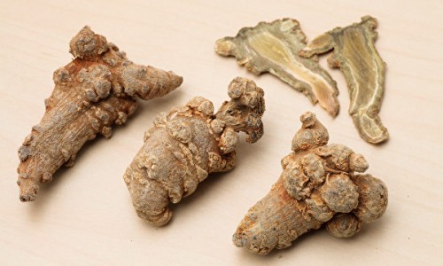 狗狗脸上长了个凸起的包流脓-狗狗脸上长疙瘩出血网 - 狗狗脸上有疙瘩是怎么回事,狗狗脸上起了一个痘